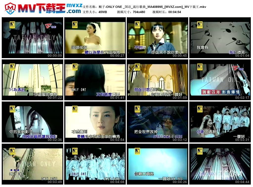 顺子-ONLY ONE _国语_流行歌曲_MA408995